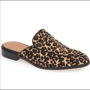 Caslon Evelyn Genuine Calf Hair Mule